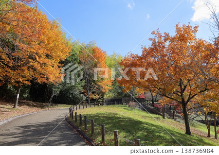 Autumn park: refreshing, yellowing leaves, broadleaf trees 138736984