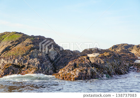 The coastal scenery of Tofino is impressive with its rugged rock faces. 138737083