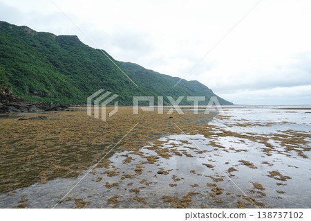 沖繩縣、西表島、志賀川~南上田 沖繩縣、西表島、志賀川~南上田 138737102