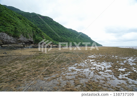 Okinawa Prefecture, Iriomote Island, Shikagawa to Minamikamida Okinawa Prefecture, Iriomote Island, Shikagawa to Minamikamida 138737109