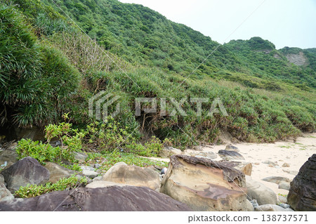 沖繩縣、西表島、志賀川～南上田 138737571