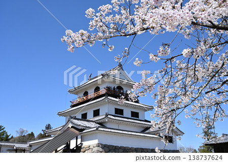 Shiroishi Castle with cherry blossoms in full bloom 138737624
