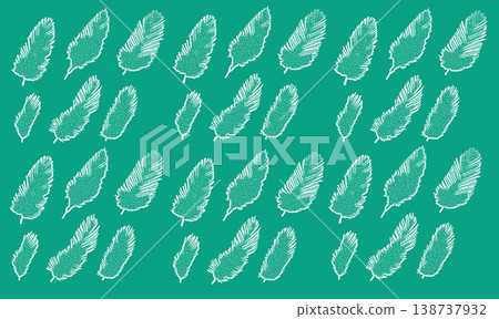 Bird feather illustration set 138737932