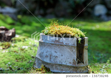 Open field in Yugayama Park 138738246