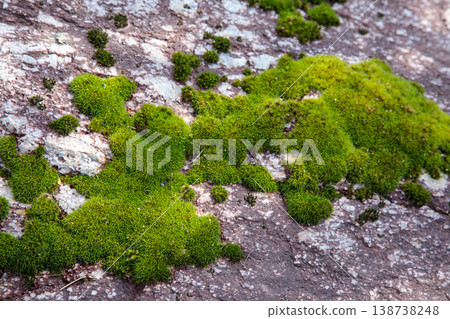 Open field in Yugayama Park 138738248