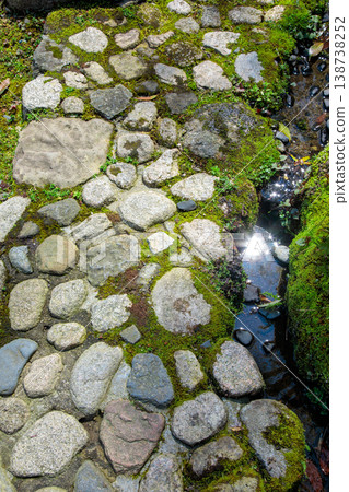 Garden paths in Nara Yuugayama Park 138738252