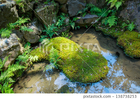 Garden paths in Nara Yuugayama Park 138738253