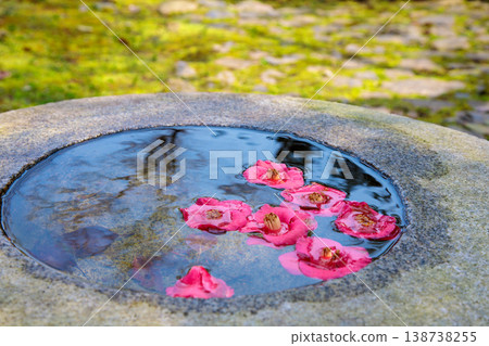 Open field in Yugayama Park 138738255