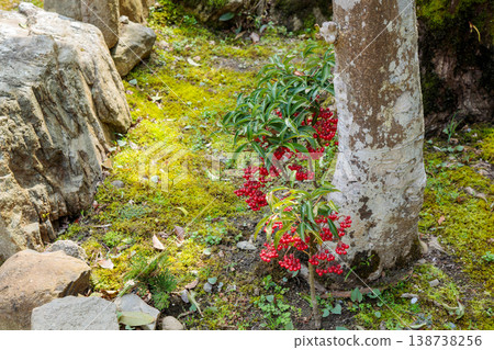 Open field in Yugayama Park 138738256