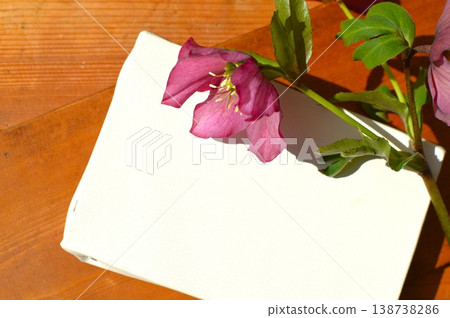 Purple Christmas roses and canvas 138738286