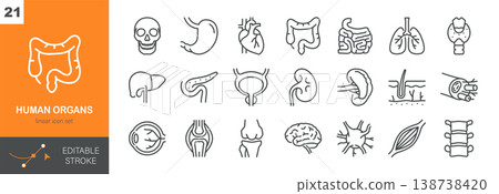 Human Organs Vector Icons Set. Internal Anatomy, Medical and Healthcare Symbols, Biology and Body System. Isolated Editable Stroke Linear Collection. 138738420