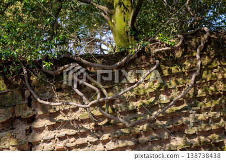 Tile fence wall 138738438