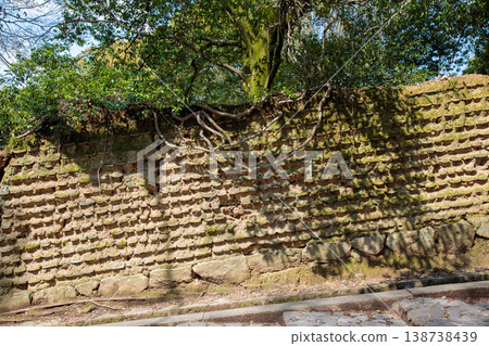 樹木正在侵蝕一堵瓦片土牆。 138738439