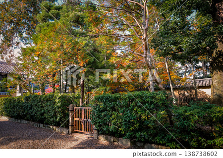 Nov 24 2025 Traditional Stone Path Leading Through Daitoku ji Temple Grounds 138738602