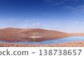 Lonely green tree grows on a small circular island in the middle of a calm water body. 138738657