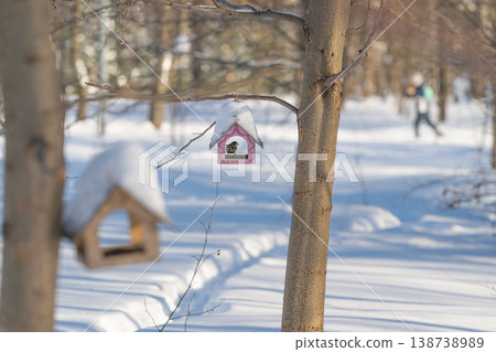 Warm wood contrasts with pale snow. Layered perspective guides eye through winter park scene. Soft winter illumination highlights color contrast between warm wood and snow 138738989
