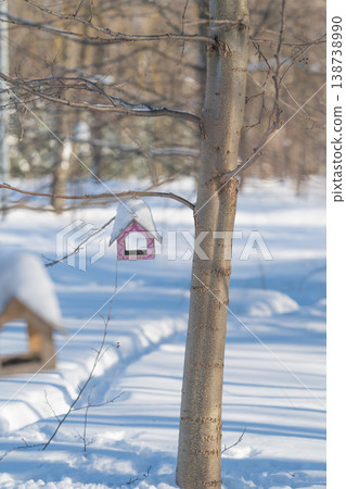 Pink feeder hanging beside birch trunk, vertical crop emphasizes slender branches and negative space, soft sunlight creating warm highlights on crisp snow, quiet contemplative mood Pink feeder hanging beside birch trunk, vertical crop emphasizes slender branches and negative space, soft sunlight creating warm highlights on crisp snow, quiet contemplative mood 138738990