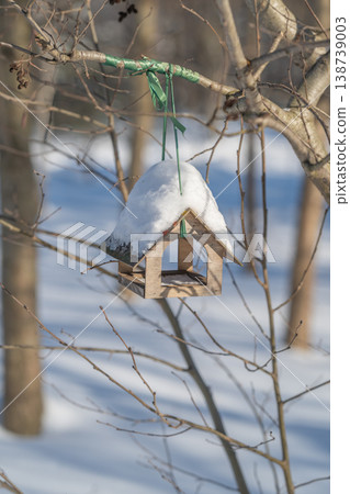Elegant composition featuring snow crowned birdhouse with natural elements. Artistic vertical photograph showcasing snowtopped birdhouse amidst bare twigs and tree trunks 138739003