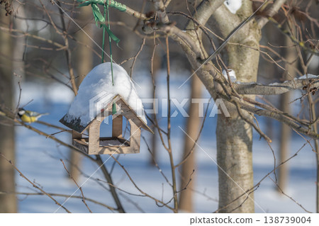 Birdhouse with bird. Winter nest hosts cheerful avian. Pale shelter showcases vibrant feathered visitor. Chilly avian dwelling spotlights lively bird amidst snowy landscape 138739004
