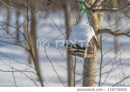 Quiet winter scene. Calm winter environment featuring lone birdhouse among trees. Serene winter setting depicts solitary birdhouse surrounded by snow and bare branches 138739008