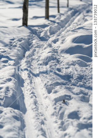 Shaded snow ski track through trees, narrow corridor between trunks, park ranger or commuter route suggestion, dappled light, ambient quiet and practical winter transit vibe Shaded snow ski track through trees, narrow corridor between trunks, park ranger or commuter route suggestion, dappled light, ambient quiet and practical winter transit vibe 138739012