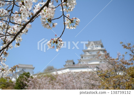Spring Stroll at Himeji Castle 2026 Spring Stroll at Himeji Castle 2026 138739132