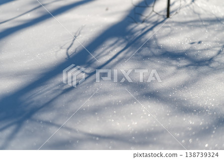 Sparkling snow shadows scenic landscape. Glittering frost outlines slender trees beautifully. Bright snow creates shimmering patterns over icy terrain and trees 138739324