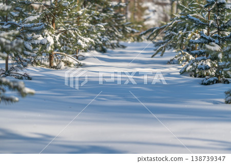 Tranquil frosted forest scene. Peaceful pine woodland bathed in gentle sunlight and snow. Serene winter forest filled with snowdusted branches and softly shining sunlight Tranquil frosted forest scene. Peaceful pine woodland bathed in gentle sunlight and snow. Serene winter forest filled with snowdusted branches and softly shining sunlight 138739347