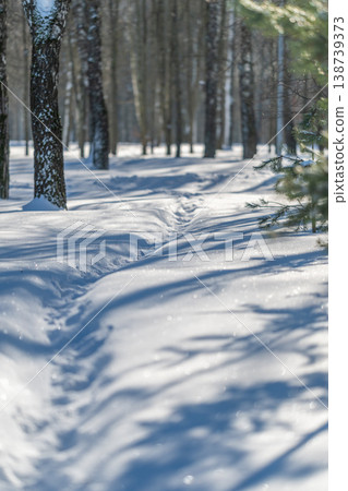 Solitary trail through snowcovered forest. Peaceful wilderness path with shadows and frost. Pristine woodland route under icy morning sunlight shows tranquility Solitary trail through snowcovered forest. Peaceful wilderness path with shadows and frost. Pristine woodland route under icy morning sunlight shows tranquility 138739373