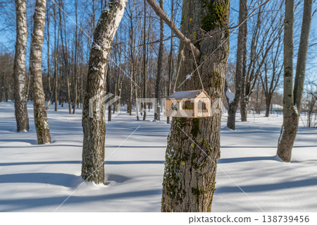 Closeup wooden birdhouse on trunk, detailed wood grain and joint lines, moss accent, soft snow background, handcrafted feeder vibe, crisp winter light highlighting texture Closeup wooden birdhouse on trunk, detailed wood grain and joint lines, moss accent, soft snow background, handcrafted feeder vibe, crisp winter light highlighting texture 138739456