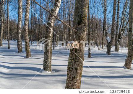 Sunlit birch grove with birdhouse mounted on mossy trunk, pristine snow blanket, long tree shadows across field, crisp blue sky, tranquil winter refuge for small birds Sunlit birch grove with birdhouse mounted on mossy trunk, pristine snow blanket, long tree shadows across field, crisp blue sky, tranquil winter refuge for small birds 138739458