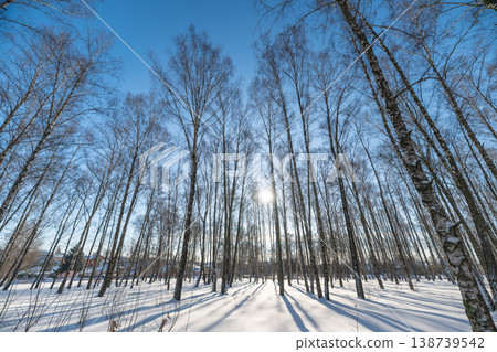 Winter shadows photography. Bright winter sunlight creates striking shadows on snowy terrain. Clear winter day with long tree silhouettes cast by low sunlight over fresh snow Winter shadows photography. Bright winter sunlight creates striking shadows on snowy terrain. Clear winter day with long tree silhouettes cast by low sunlight over fresh snow 138739542