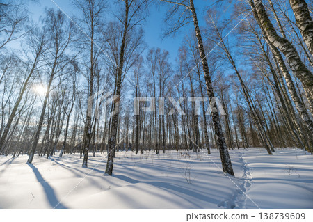 Tranquil chilly snowcovered setting. Serene frozen landscape with imprints and shadows. Still winter scene blanketed in snow with footprints and shadows present 138739609