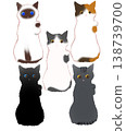 Simple illustrations of various lucky cats 138739700