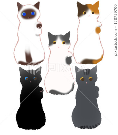 Simple illustrations of various lucky cats 138739700