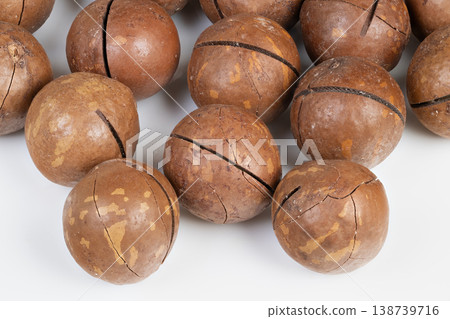 Closeup examination of macadamia nut shell surface and texture. Scientific highresolution imaging revealing macadamia shell cracks and intricate surface features 138739716