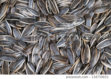 Crunchy snack ready. Sunflower seeds toasted and striped. Golden roasted sunflower seeds with shells. Prepared roasted sunflower seeds with glossy surfaces and varied sizes Crunchy snack ready. Sunflower seeds toasted and striped. Golden roasted sunflower seeds with shells. Prepared roasted sunflower seeds with glossy surfaces and varied sizes 138739833