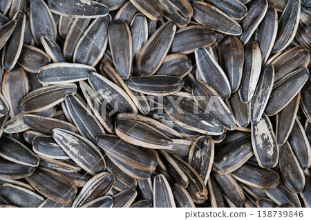 Salted seed snack. Crunchy roasted sunflower seeds ready. Flavorful roasted sunflower seeds with salty crunch. Salty and crispy roasted sunflower seeds perfect for snacking Salted seed snack. Crunchy roasted sunflower seeds ready. Flavorful roasted sunflower seeds with salty crunch. Salty and crispy roasted sunflower seeds perfect for snacking 138739846