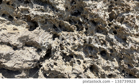 The rough texture of Okinawan Ryukyu limestone 138739928