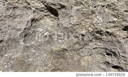 The rough texture of Okinawan Ryukyu limestone 138739929