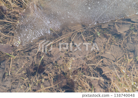 Frozen water awakening. Gentle trickle uncovers resting grasses beneath tranquil surface. Clear water showcases sleeping herbs with light ripples and floating sediment 138740048