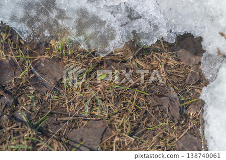 Frost forms visibly. Transparent frost appears on grassy borders. Frozen condensation disappears visibly at ground borders as frost becomes transparent on grass perimeter 138740061