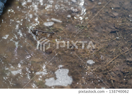Granular ice melting along dirt edge, coarse crystals collapsing onto brown ground, stray twigs and grass fragments, tactile contrast between cold and warming soil Granular ice melting along dirt edge, coarse crystals collapsing onto brown ground, stray twigs and grass fragments, tactile contrast between cold and warming soil 138740062