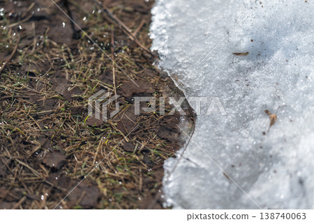 Texture of mineral pieces contrasts with clear frozen ice edge. Closeup view of gritty mineral particles scattered at melting icy boundary showing textures and translucence 138740063