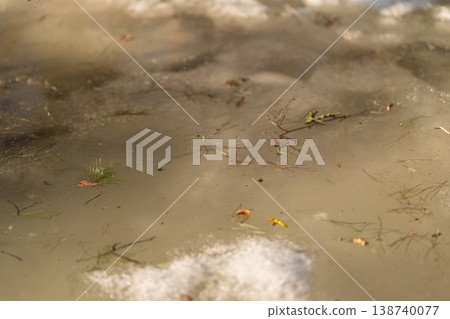 Wetland water scene. Shimmering water with twig debris. Frozen edges and floating plant matter present. Transition zone indicating wetland ecology and water stability signs 138740077