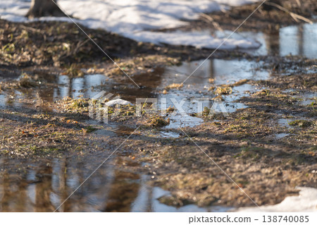 Spring thaw reflections. Early spring water reflections. Melting snow creates serene puddle reflections. Frost begins to melt revealing tranquil puddles and fragile ripples Spring thaw reflections. Early spring water reflections. Melting snow creates serene puddle reflections. Frost begins to melt revealing tranquil puddles and fragile ripples 138740085