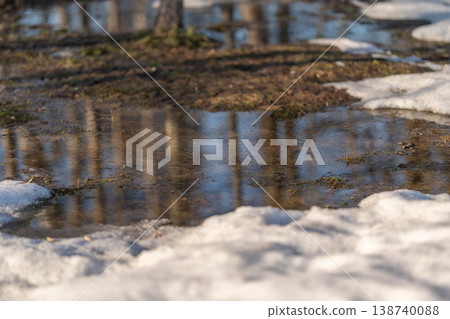 Ice melts away. Frozen water reveals peaceful woodland. Thawing ice unveils serene forest reflecting pools. Snow melting uncovers calm water bodies and forest ground surfaces Ice melts away. Frozen water reveals peaceful woodland. Thawing ice unveils serene forest reflecting pools. Snow melting uncovers calm water bodies and forest ground surfaces 138740088