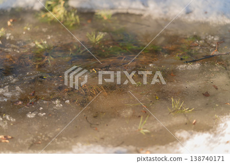 Wetland water scene. Shimmering water with twig debris. Frozen edges and floating plant matter present. Transition zone indicating wetland ecology and water stability signs Wetland water scene. Shimmering water with twig debris. Frozen edges and floating plant matter present. Transition zone indicating wetland ecology and water stability signs 138740171