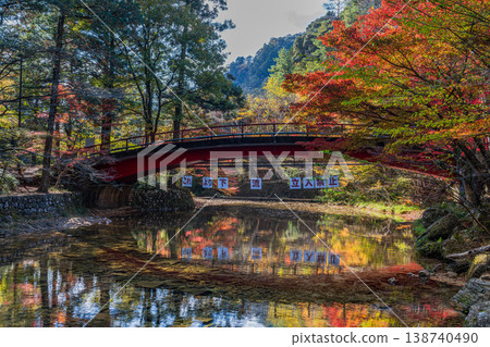 Scenery of Aichi Prefectural Forest in Shinshiro City (Aichi Prefecture) 138740490
