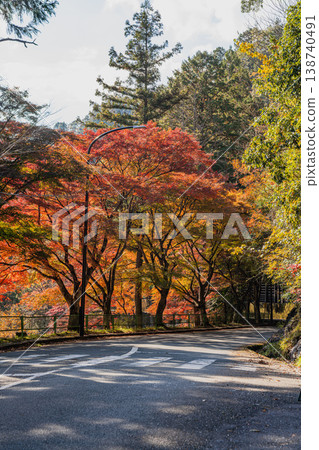 Scenery of Aichi Prefectural Forest in Shinshiro City (Aichi Prefecture) 138740491